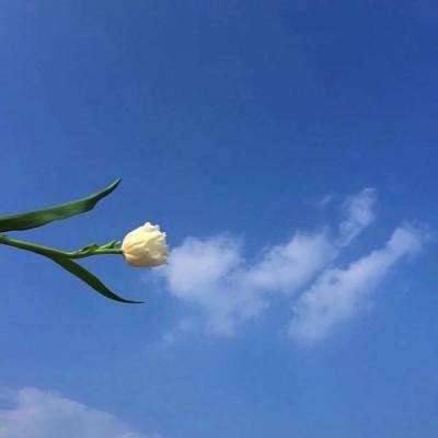 高原边防部队还在用81杠 中国步枪真的有问题吗?