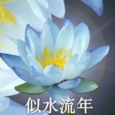 游客爬山如厕遇牦牛：厕所门无法关闭