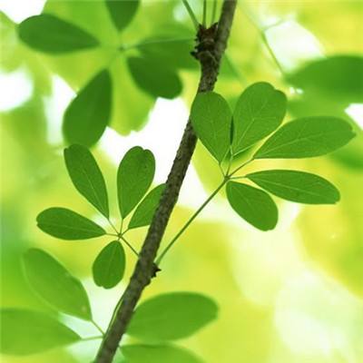 特斯拉机器人有望在今夏启动生产 机器人板块迎重要催化