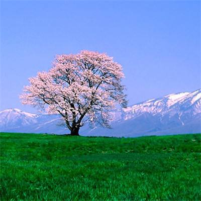 币游首页官网