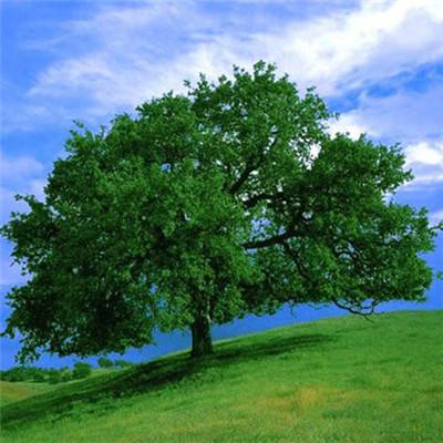 欧盟委员会:期待美方履行协议约定。