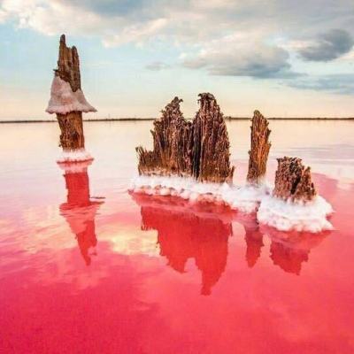 金价大幅震荡，黄金ETF规模缩水！后市怎么走？