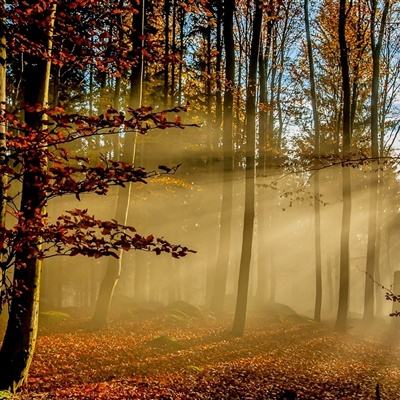 五粮液博鳌答卷:双IP联动,让世界听见中国白酒的声音