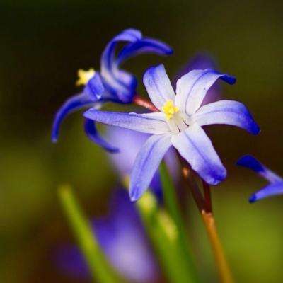 金融业务底层逻辑生变 银行春招点名要AI复合型人才