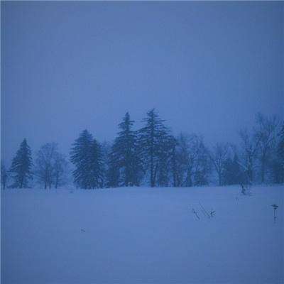 957娱乐下载截图0