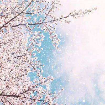 乐鱼体育官方下载安装 乐鱼体育官方下载安装