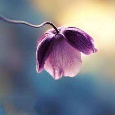 中国激光的底气是什么？未来又在...