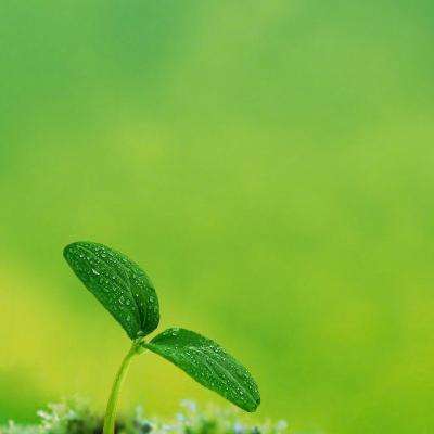 豪赚百亿元,邓晓峰撤退