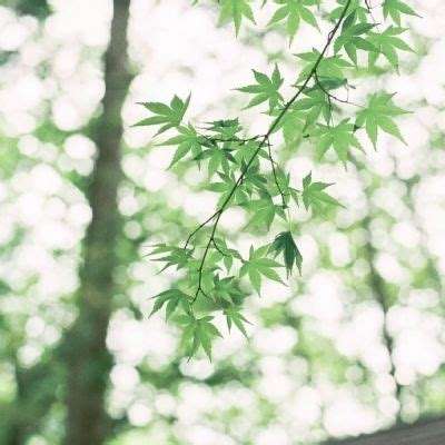 方正证券：予新乳业“推荐”评级，多措并举推动盈利能力持续改善