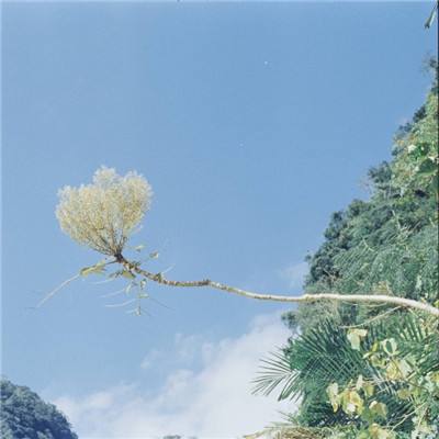 模块化逆变器赛道升温：如何从“...