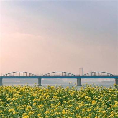 断层领先！禾赛营收破30亿、连续七季高增，跑出行业首个GAAP盈利