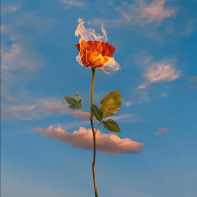 美联储古尔斯比：消费者信心可能下滑。