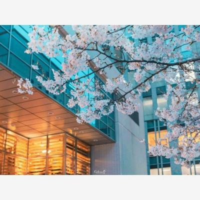 对冲基金和油企高管组团前往委内瑞拉 委代总统暗示有意对外资开放经济