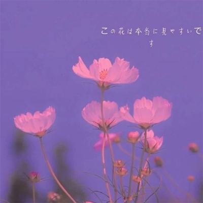 55世纪体育app截图4