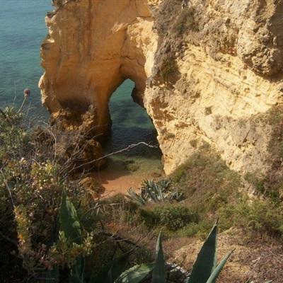 中企达展览掘金欧洲手册:助力20...