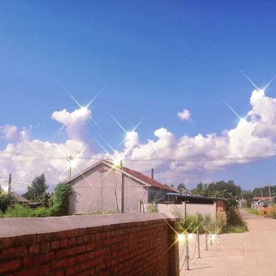 雅博app官方入口