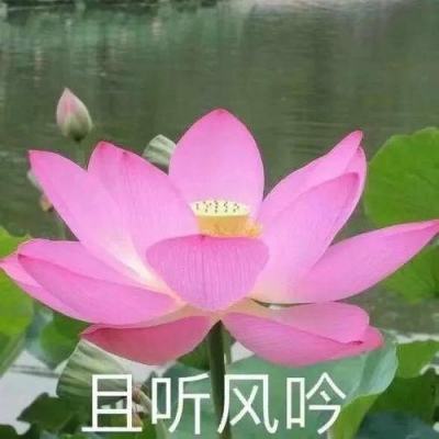 诸将听令