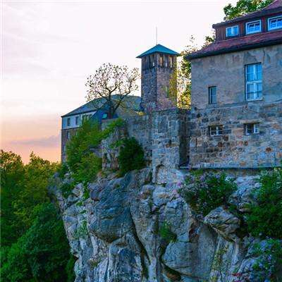 张怡宁第三次担任央视解说 笑容变多身材未变