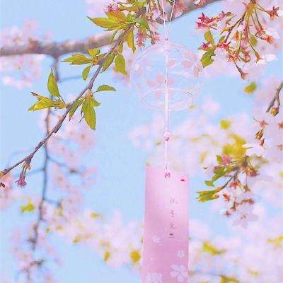 伊朗拒绝美国停火提议 提出己方停战的五个条件