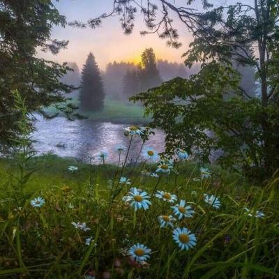 乐鱼体育网页登录版亮点