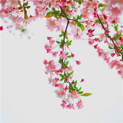 亿电竞体育APP(官方)综合娱乐APP下载截图4