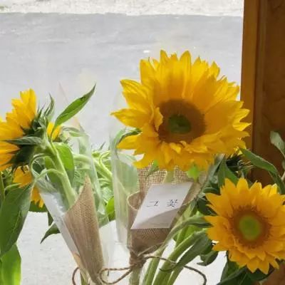 国乒最强她们最美 罗马尼亚美女成世乒赛颜值担当