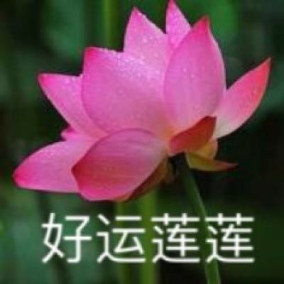 卡唯朵荣膺《品牌中国》“岭南草本护肤传承品牌” 以实力诠释传承与创新