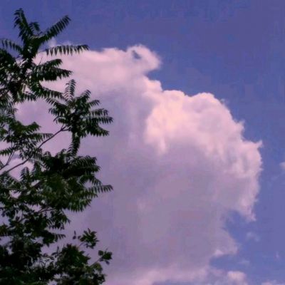 绘就生态画卷!德阳交出“十四五”生态环境保护亮眼答卷