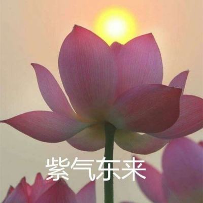 新发理财不好卖,年内已有35只发行失败!震荡行情下,机构纷纷发文安抚
